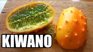 KIWANO | HORNED MELON Taste Test | FRUITY FRUITS