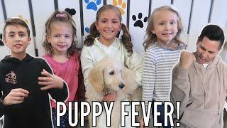 PUPPY SHOPPING! | Are we Ready for A PUPPY? | Life As We GOmez