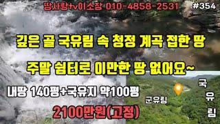 (354)영덕계곡 접한 땅 골이 깊은 곳 국유림 속 청정 계곡 접한 주말 농장지 인가 없는 곳