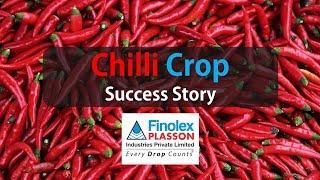 Chilli Success Story Beed - Finolex Drip