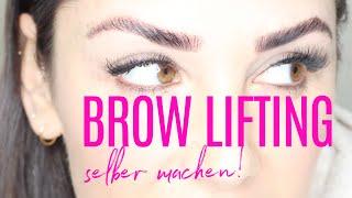 BROW LIFTING SELBER MACHEN | SCHRITT FÜR SCHRITT FÜR ANFÄNGER  || KathisFinest