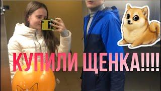 VLOG: КУПИЛИ ЩЕНКА!ЕДЕМ ЗА ЩЕНКОМ! НАША ПЕРВАЯ ВСТРЕЧА С НАШЕЙ МАЛЫШКОЙ ️ СЧАСТЬЕ ЕСТЬ!!!!!!