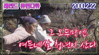 (감동 휴먼다큐) 그 오두막엔 여든네살 청년이 산다 KBS(2000.2.22) [추억의 영상]