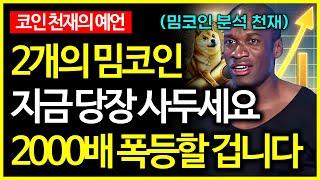 밈코인 천재 분석가 "이 밈코인 2000배 폭등할 겁니다"