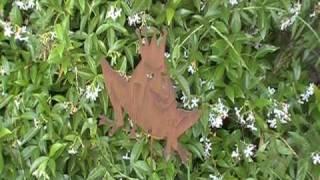 Metal Sculpture Frog Prince & Bird On Heart Garden Art by Artist Judie Bomberger