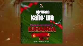 Ng'wana Kang'wa - Ufunguzi wa Nyumba ya Luhanga (Audio Visualizer)