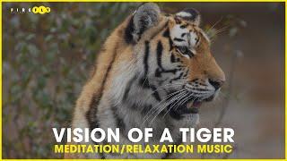 Meditation Relaxation Music , Vision of a Tiger