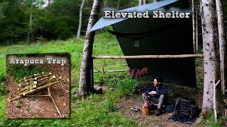 Elevated Hammock Shelter, Alive Game Trap, and Rainy Overnight Adventure