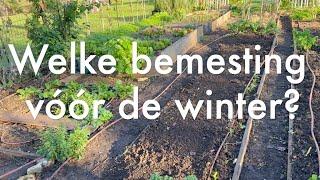 Ini's Moestuin #211 - Welke bemesting vóór de winter? Dierlijke mest, compost of groenbemesters?