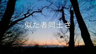 高瀬祐治 Yuji Takase　『花と猫と人間と』　（Lyric Video)