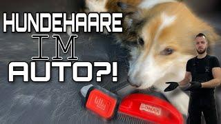 3 Methoden um HUNDEHAARE im AUTO schnell und effektiv zu entfernen| Lilly Brush, Bimsstein, Bürste