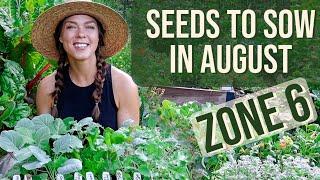 Vegetable Seeds to Plant in August: Zone 6