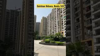 Best deal of Rent/sell Gulshan Ikbana Noida 143 || #rent #sell #buy #flats #resell #2bhk #3bhk #1bhk