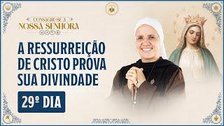 Consagração a Nossa Senhora 2024 -  29º dia - A ressurreição de Cristo prova sua Divindade | Hesed