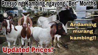 September 6, 2024 Presyo ng Kambing sa Padre Garcia Batangas Livestock Auction