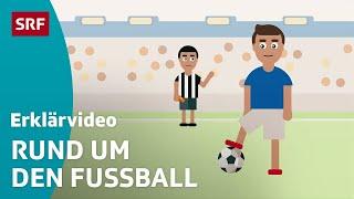 Die Grundlagen des Fussballs – einfach erklärt | Kindervideos | SRF Kids