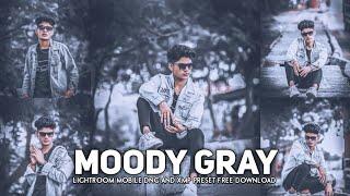 Moody Gray - Lightroom Preset & Tutorial  | Moody Gray tone lightroom presets 2022 free