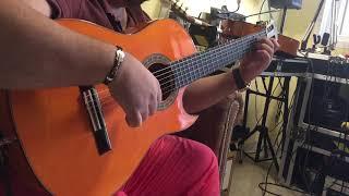 Bernal Fusion Flamenca Cutaway