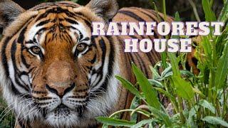 Tour of the Rainforest House at Tierpark Berlin