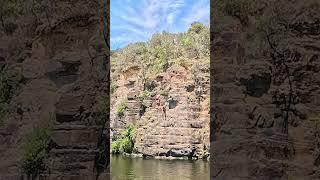 Angourie Green Pool Jump #australia #shorts