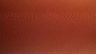 Ghanshyam Patel Live Stream