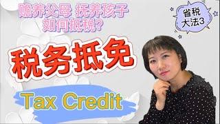 【税】省税大法3-税收抵免Tax Credit 赡养父母，抚养子女如何抵税？美国有多少种税收抵免？