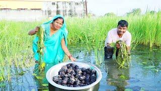 पानी के निचे मिट्टी में मीलने वाली सुरखी का भरता जो आप सब देखे भी नही होगे Surkhi water Bhartarecipe