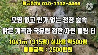 울진땅 오염없고 인가없는 산속 청정지역 맑은계곡과 국유림접한 자연인 땅