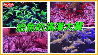 TROPICAL燈科 孔雀魚滿漢全餐