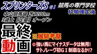 【スプリンターズS2024】展開考察付き最終動画 サトノレーヴ 新スプリント王者に輝くか