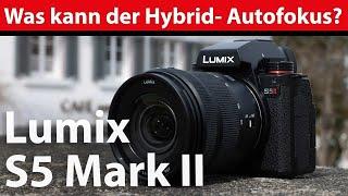 Praxistest: Panasonic S5 Mark II - neuer Autofokus, Bildstabilisierung und Bedienung