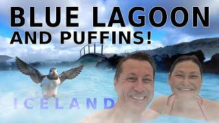 Blue Lagoon and Puffins - ICELAND'S Hidden Gems VS Tourist Traps