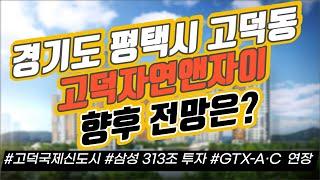경기도 평택시 고덕동 고덕자연앤자이 향후 전망은? / 고덕국제신도시 / 삼성 313조 투자 / GTX-A·C 연장｜부동산 상담｜정연훈｜전투남