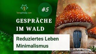 Einfaches Leben und Minimalismus - Gespräche im Wald 5