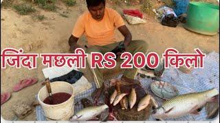 गांव की मछली बाजार / village fish market