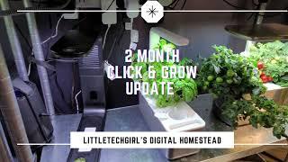 Click & Grow Smart Garden 3 | 2 Months Later | Moving My Basil