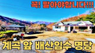 147) 급매! 너무 아까운데... 건강문제로 매매! 평생 살려고 건축한 시골집! 계곡과 명산 #전원주택 #시골집 #촌집 #세컨하우스 #5도2촌 #자연인 #등산 #계곡 #급매물