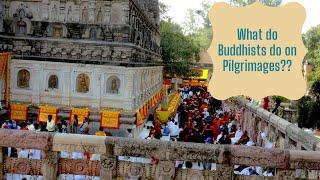 Eleven Things to do at Buddhist Pilgrimage : Buddhist Pilgrimage Sites