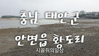 충남 태안군 안면읍 황도리, 안연읍 황도