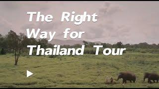 What the special experience you only can find in UME when traveling in Thailand?