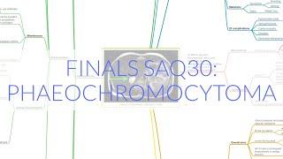 FINALS ANAES SAQ30: PHAEOCHROMOCYTOMA