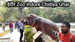 इंदौर Zoo | Indore Chidiya Ghar | Indore Zoo | Zoo Vlog | Indore City | Vlogs Rahul