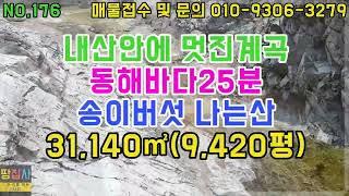 내산안에 멋진계곡! 수백만평 국유림접!송이나는산!31,140㎡(9,420평)(울진군 온정면 임야매매)