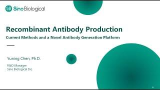 Recombinant Antibody Production: Current Methods and a Novel Antibody Generation Platform