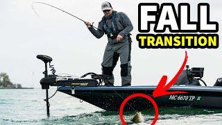 Catch Smallmouth During the Fall Transition (Top 5 Baits)