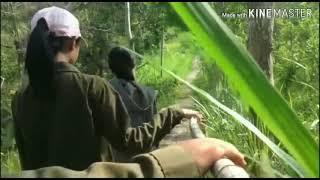 Tangkup Waterfall || Tugas Bahasa Inggris