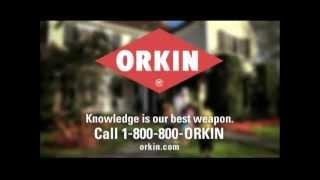 Taylor Rouviere in "ORKIN" National Campaign