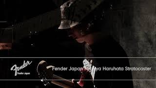 시연Fender Japan Michiya Haruhata Stratocaster