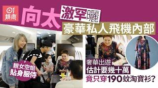 向太陳嵐私人飛機內部照曝光　靚女空姐服侍估計來回要花幾十萬｜01娛樂｜向華強｜向太陳嵐