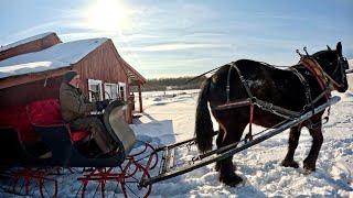 Putting Ken to Work & a Beautiful SLEIGH RIDE! #786